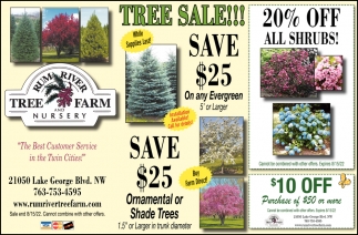 Save $25 On Any Evergreen 5' or Larger