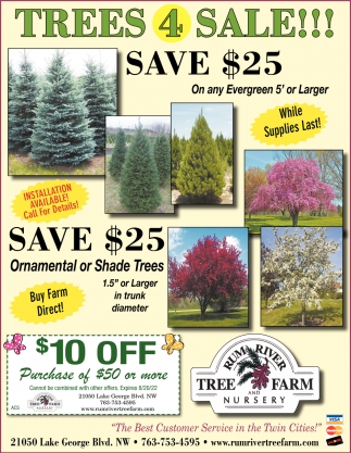 Save $25 On Any Evergreen 5' or Larger