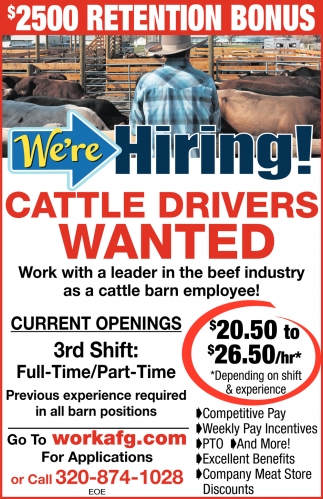 Cattle Drivers Job