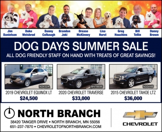 Dog Days Summer Sale
