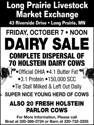 Dairy Sales