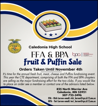 Fruit % Puffin Sale
