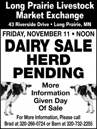 Dairy Sale Herd Pending