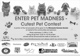 Enter Pet Madness - Cutest Pet Contest
