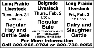 Regular Hay And Cattle Sale
