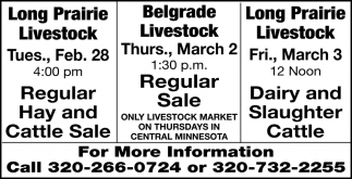Regular Hay And Cattle Sale
