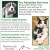 Pet Adoption Services