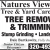 Tree Removal & Trimming