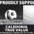 Proudly Supporting Our Teams
