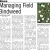 Managing Field Bindweed