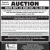Auction
