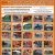 Pierz Harvest Time Consignment Sale