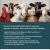 Flu Vaccines are Available
