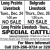 Special Cattle Sale