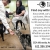Find Joy with Rescue Cats & Coffee