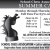 School Chess Association Summer Camp