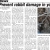 Prevent Rabbit Damage in Your Landscape