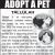 Adopt A Pet