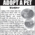Adopt A Pet