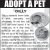 Adopt A Pet