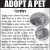 Adopt A Pet