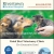 Voted Best Veterinary Clinic
