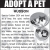 Adopt a Pet