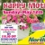 On Mother's Day Buy One Hanging Basket and Get $10,00 OFF for a Second Basket