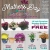 10 Inch Premium Hanging Baskets Buy One, Get One Free