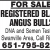 For Sale Registered Black Angus Bulls