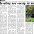 Creating and Caring for Shade Gardens