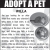 Adopt a Pet