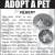 Adopt a Pet