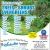 Trees - Shrubs - Evergreens for Sale