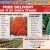 Balled and Burlap Shade Tree & Evergreen Sale!