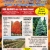 Balled and Burlap Shade Tree & Evergreen Sale!