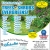 Trees - Shrubs - Evergreens for Sale