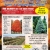 Balled and Burlap Shade Tree & Evergreen Sale!