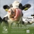 Celebrating the Hardworking Dairy Farmers All June Long