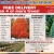 Balled and Burlap Shade Tree & Evergreen Sale!