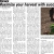 Maximize Your Harvest With Succession Planting