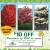 Buy Farm Direct! $10 OFF