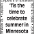'Tis the Time to Celebrate Summer in Minnesota