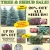 20% OFF All Shrubs!