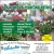 Visit Us for Perennials