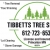 Best Tree Care Services