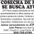 Potato Harvest Se Busca Ayuda