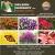 Best Garden & Nursery Center!