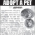 Adopt a Pet