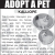Adopt a Pet